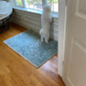 Meet your Posher, Sebika